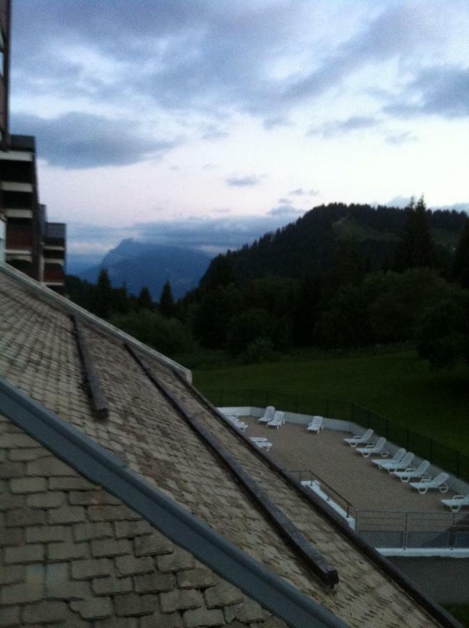 Terrasses Du Mont Blanc Appartement Le Praz de Lys Buitenkant foto