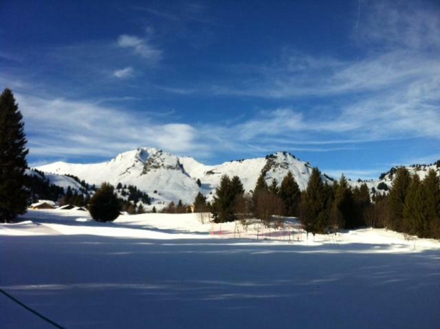 Terrasses Du Mont Blanc Appartement Le Praz de Lys Buitenkant foto