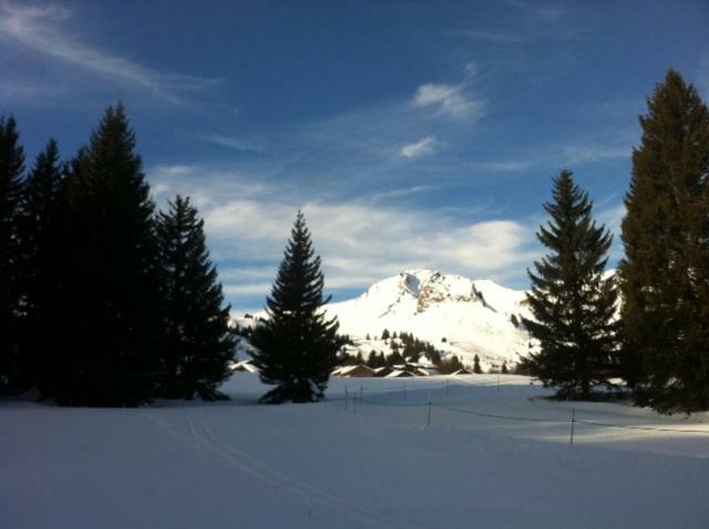 Terrasses Du Mont Blanc Appartement Le Praz de Lys Buitenkant foto